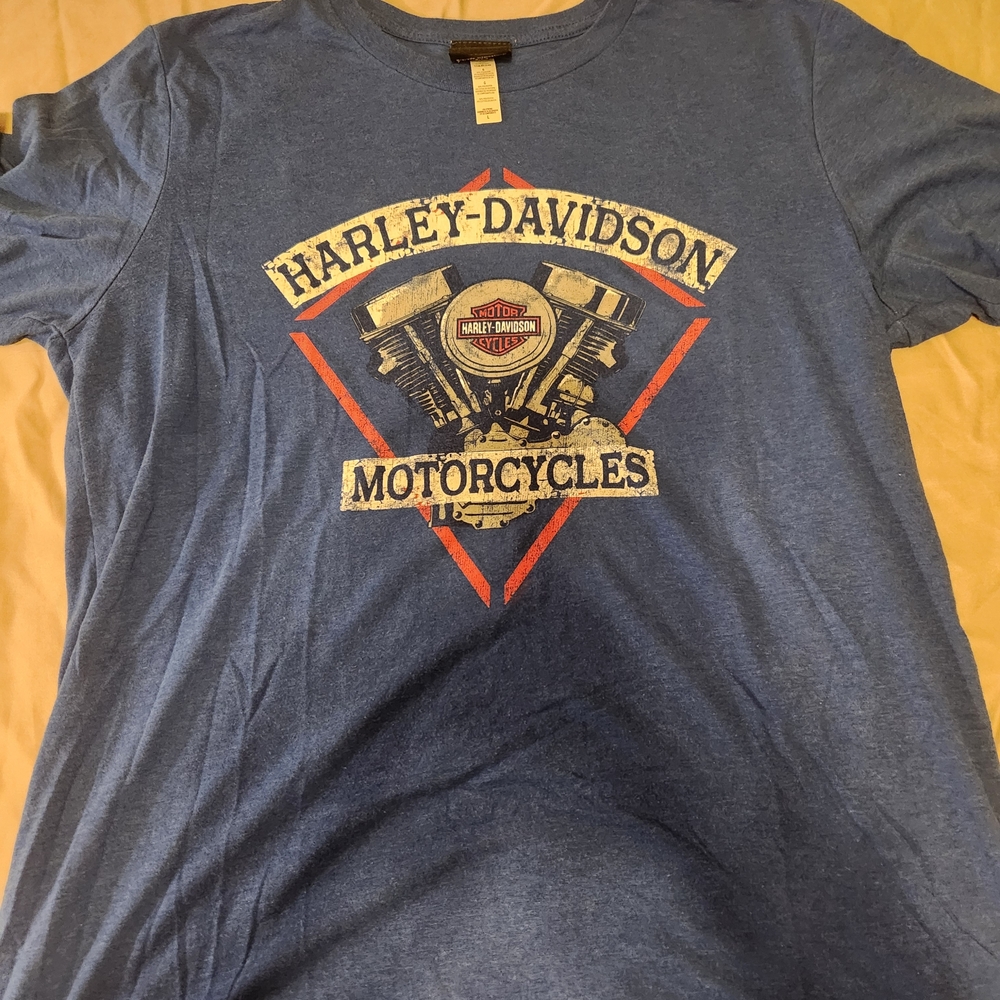 Harley-Davidson Blue Graphic T-Shirt for Men Steel City